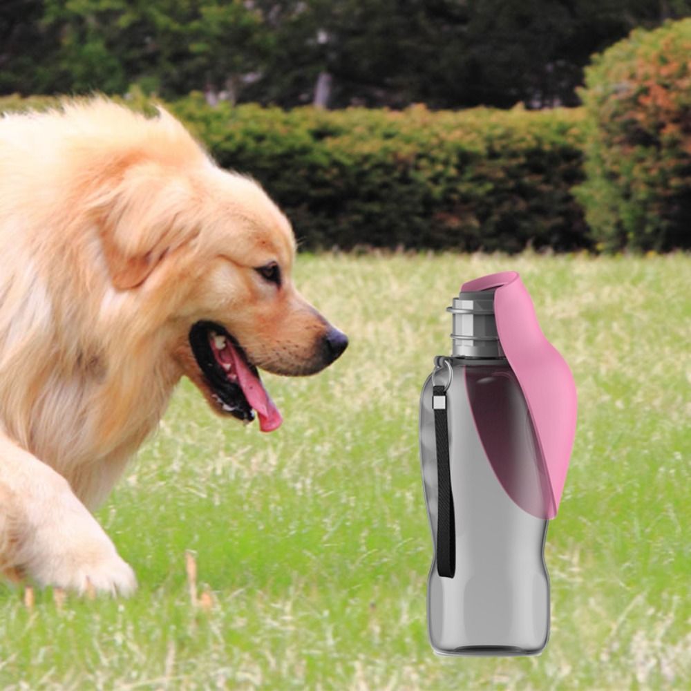 Comprar Botella de agua para perros de 800ML, dispensador de agua